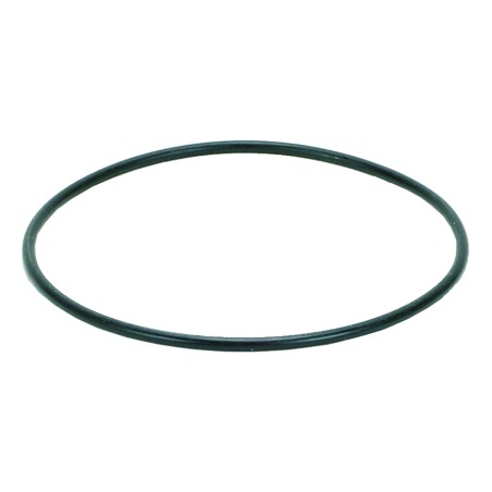 O-Ring für Astral 6 Wege Ventil Top-Mount